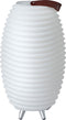 Kooduu Synergy 50 Lamp En Speaker