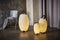 Kooduu Synergy 50 Lamp En Speaker