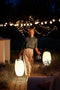 Kooduu Synergy 50 Lamp En Speaker