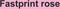 Kopieerpapier Fastprint Roze A3 80gr