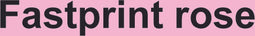 Kopieerpapier Fastprint Roze A4 120gr