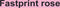 Kopieerpapier Fastprint Roze A4 120gr