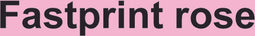 Kopieerpapier Fastprint Roze A4 160gr
