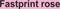 Kopieerpapier Fastprint Roze A4 160gr