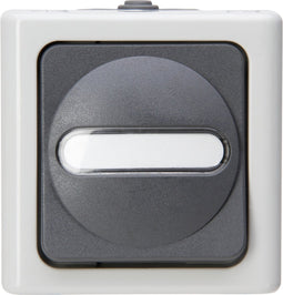 Kopp 560756009 BlueElectric Compleet Kruisschakelaar spatwaterdicht Grijs 1 stuks