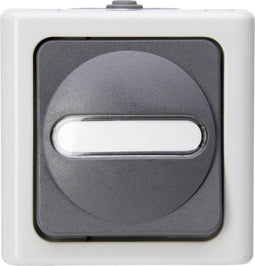 Kopp 560856002 BlueElectric Compleet Knop spatwaterdicht Grijs 1 stuks