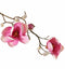 Driesprong collection - Kaaps groen bloemen knoppen, 60 cm wit/roz...