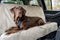 Kurgo Wander Bench Seat Cover - Waterafstotend - Grijs