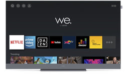 We. by Loewe - We. SEE 43 LCD - Ultra HD 120Hz Dolby Vision - Grijs (2025)