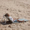 SunnyLife - The Vacay - Verstelbare Strandstoel - Olijfgroen