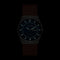 Skagen Melbye Titanium - Horloge - 40 mm - Grijze titanium kast - Blauwe wijzerplaat - Bruine leren band