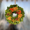 Echte Krans Elena | 30 cm Ø | Kranz Herbst | krans voor binnen en buiten | deurkrans | Krans landelijk | Herfstdecoratie | Herfst krans | Pompoen decoratie