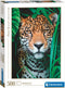 Clementoni - Puzzel - 500 Stukjes - Jaguar in de Jungle - Puzzel Voor Volwassenen - High Quality Collection