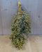 Kerstgroen Palmbessen tak decoratie