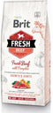 Brit Fresh Beef & Pumpkin Puppy Large Breed 12 kg - Hond