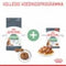 Royal Canin Digestive Care - Kattenvoer - 10 kg