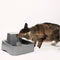 PetSafe Drinkwell® 1.8L Drinkfontein - Vrijvallende waterstroom - Verstelbare stroomsnelheid - Multi