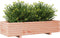 vidaXL - Plantenbak - 110x40x26,5 - cm - massief - douglashout