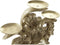 Kroonkandelaar DKD Home Decor Bloem Gouden Hars (26 x 12 x 23 cm)