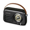 Ledwood ALMA BLK - Transistor Radio - 30 W - Zwart