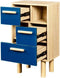 Opslag met 2 deuren - blauw dennenhout - lila