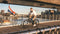 Ostrichoo® Zeno - Elektrische Fiets - Urban E-bike - Uitgerust met Supercondensator - 30 min laadtijd