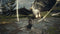 Capcom Dragon's Dogma II - PS5 - Actie RPG - Verwachte releasedatum 22-03-2024