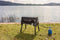 Campingaz Tour & Grill CV Plus - Gas BBQ - Afneembaar onderstel - Zwart