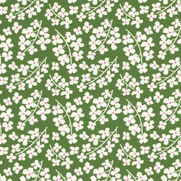 Cadeaupapier 50cm des. 1024 Groen + Margrieten