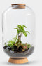 Mandy Forest - Terrarium met led - 50cm