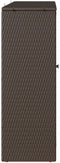 vidaXL - Opbergkast - Bruin - 100x36x102 - cm - Rattan