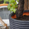 Capi Europe - Bloempot bol Row NL - 35x34 - Antraciet - Opening Ø29 - Bloempot voor binnen en buiten - Levenslang garantie - Breukbestendig - 100% Recyclebaar - CO2 Neutraal geproduceerd - KRWZ932