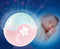Infantino Soothing Light & Projector Pink 3-in-1 Babyprojector BK-04908