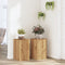 vidaXL - Plantenstandaards - 2 - st - 30x30x50 - cm - hout - artisanaal - eiken