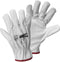 Leipold Doehle DRIVER GLOVE 1606-10 Werkhandschoen Runder nerfleer Maat (handschoen): 10, XL EN 388 Cat II 1 paar
