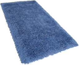 CIDE - Shaggy vloerkleed - Blauw - 80 x 150 cm - Polyester
