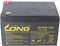 Kung Long WP12-12E F2 cyclusbestendige lood-vlies-accu, 12V, 12Ah met 6,3 mm Faston-aansluiting