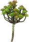 Kunst Cactus Tak 19 cm - Groen/Rood