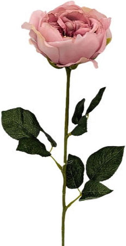 Kunst engelse roos oud roze, 59 cm