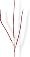 Kunst Horsetail spray x3 red 115 cm