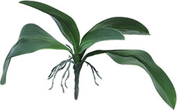 Kunst Orchid leaves & roots lvs green - 35 cm