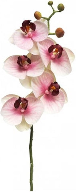 Kunst Phalaenopsis Orchidee Bora 58 cm - Roze
