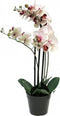 Kunst Phalaenopsis Orchidee In Pot 60 cm - Roze