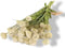 Kunst Tak Allium Creme