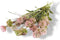 Kunst Tak Allium Roze