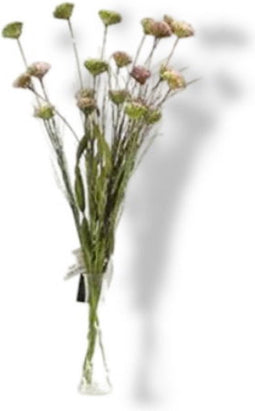 Kunst Tak Allium Wit/Roze