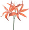 Kunstbloem hoya lily orange, 79 cm
