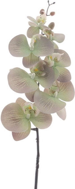 Kunstbloem phalaenopsis green, 90 cm