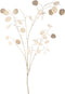 Kunstbloem silver dollar branche silja gold 125 cm