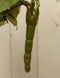 Kunstbuxus bladeren op steker 70 cm
